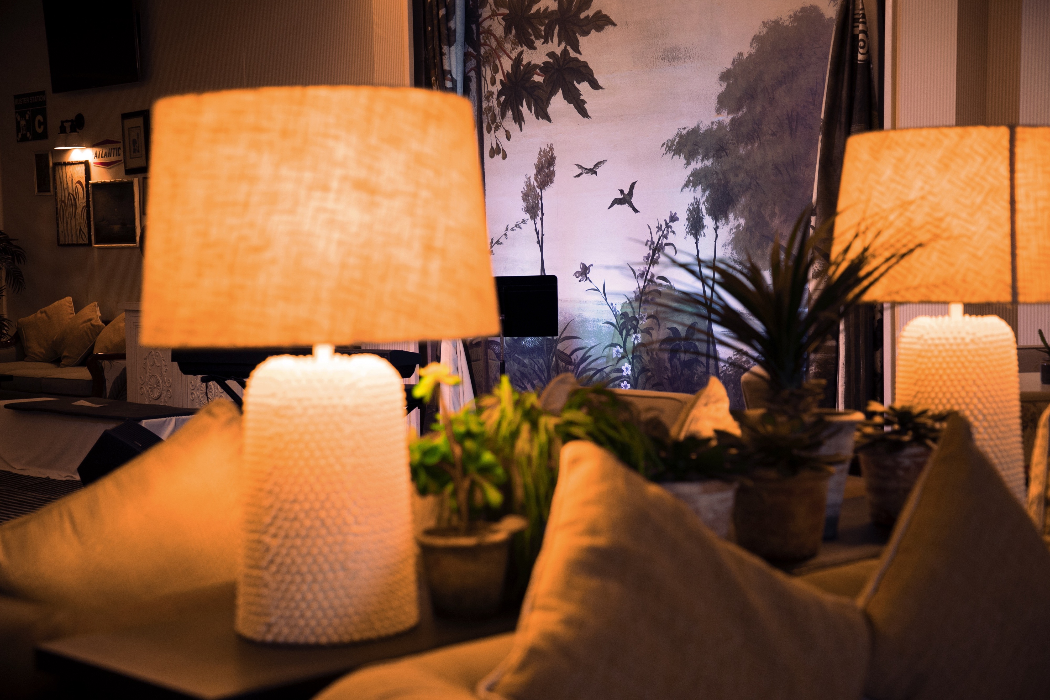 Ambience - Botanical Lounge